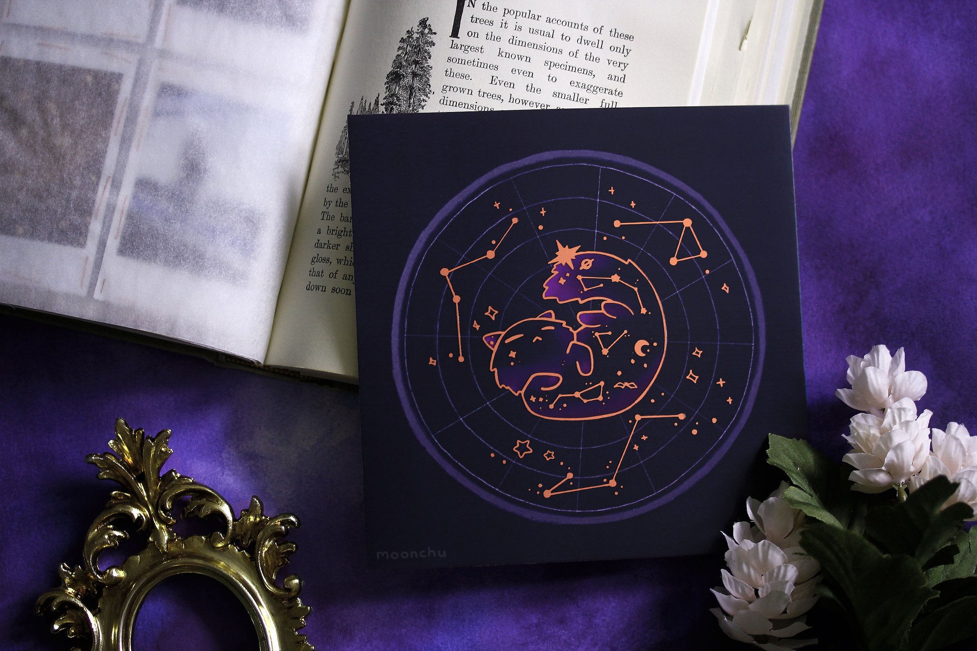 Помощь гадалок: Как астрология может помочь мне найти свое истинное предназначение и жизненную цель?